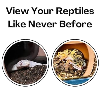 Amazon.com : Reptile Underground Cave Viewing Hide | Hognose